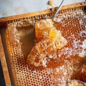 Seasonal Bee Tox Honey